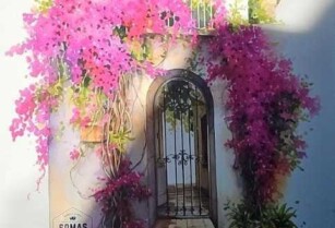 ΖΗΤΕΙΤΑΙ ΠΡΟΣΩΠΙΚΟ ΓΙΑ ΤΟΥΡΙΣΤΙΚΟ ΚΑΤΑΣΤΗΜΑ